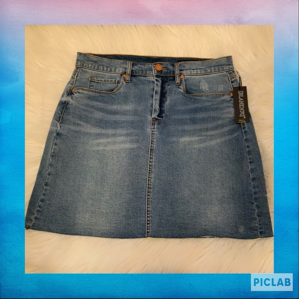 Blank NYC Frayed Denim Mini Skirt NWT Size 28 / 6
